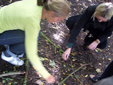 Forest Schools Training Day