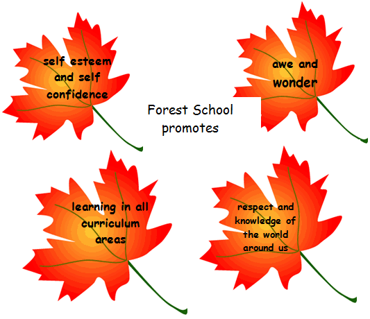 Forest School promotes